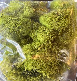 Reindeer Moss Small Bag