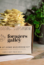 Mushroom Growing- Golden Oyster Grow Kit