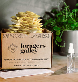 Mushroom Growing- Golden Oyster Grow Kit