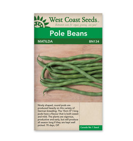 West Coast Seeds Pole Beans Matilda