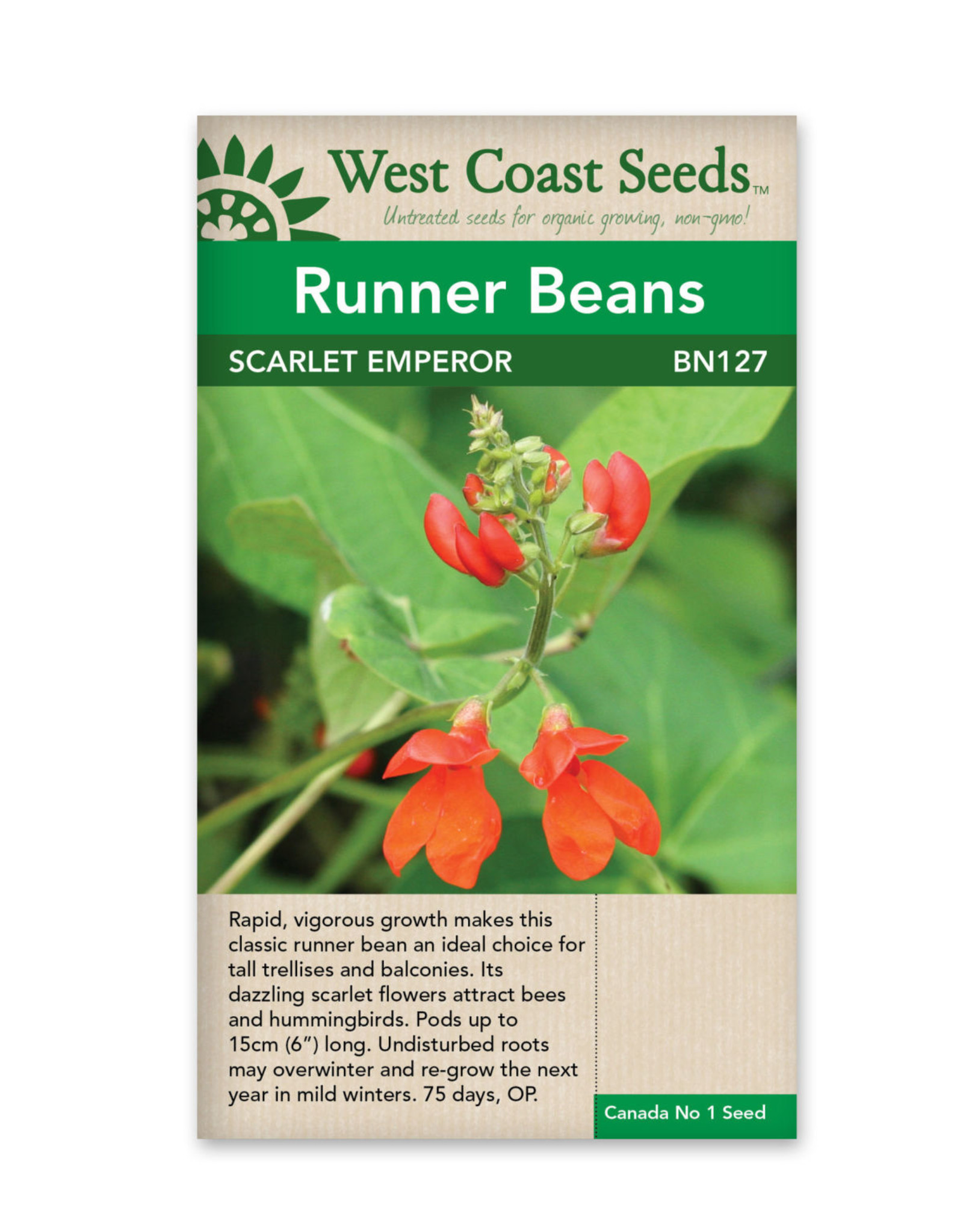 West Coast Seeds Scarlet Emperor