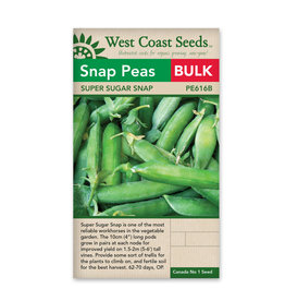 West Coast Seeds Super Sugar (OP)