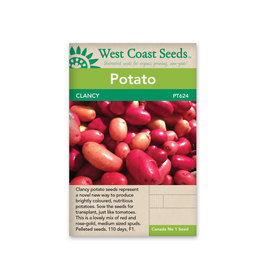 Potato - Clancy F1 Pelleted