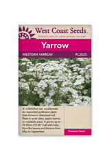 West Coast Seeds Western Yarrow