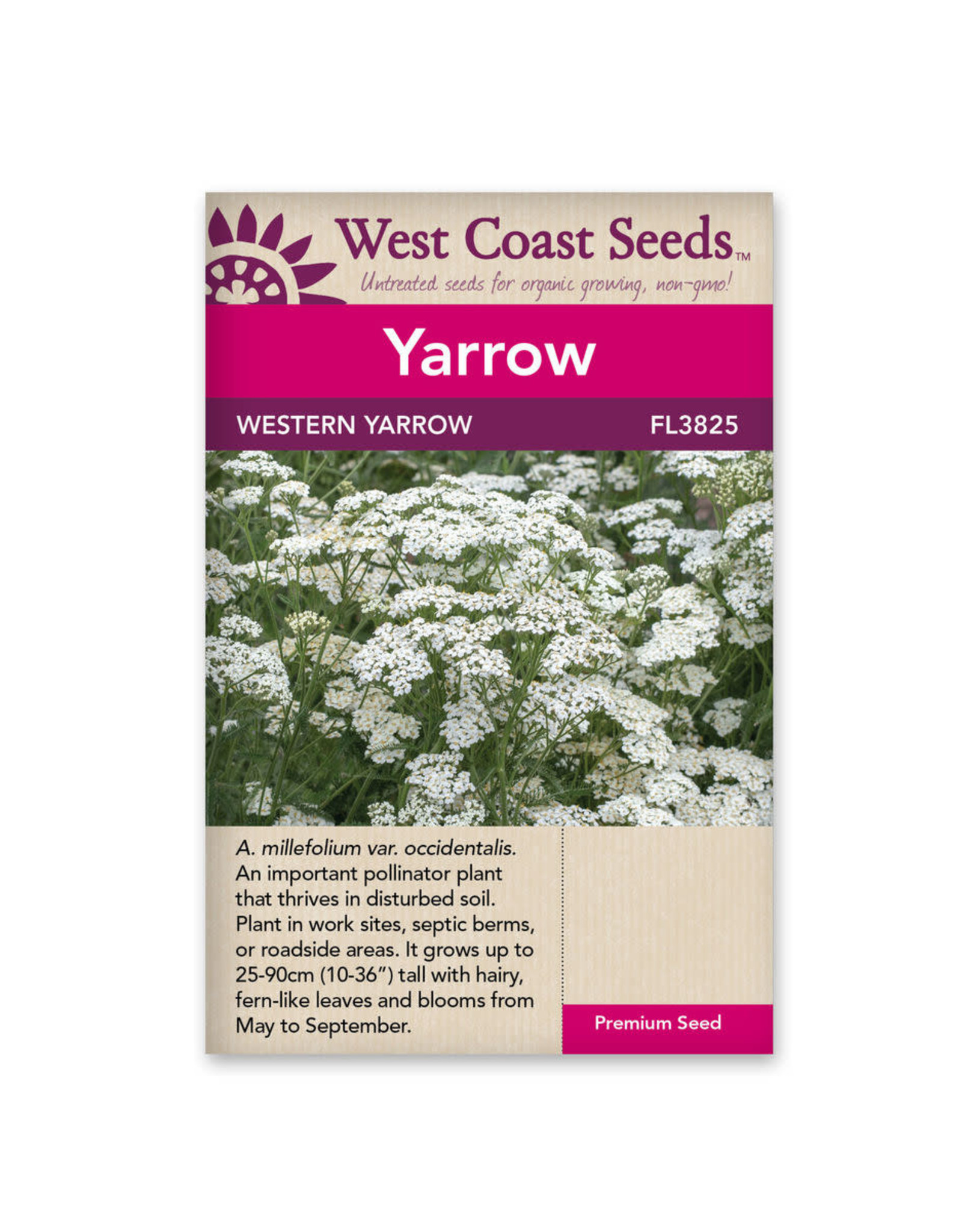 West Coast Seeds Western Yarrow