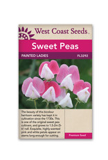 West Coast Seeds Sweet Pea - Painted Lady