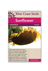West Coast Seeds Giganteus