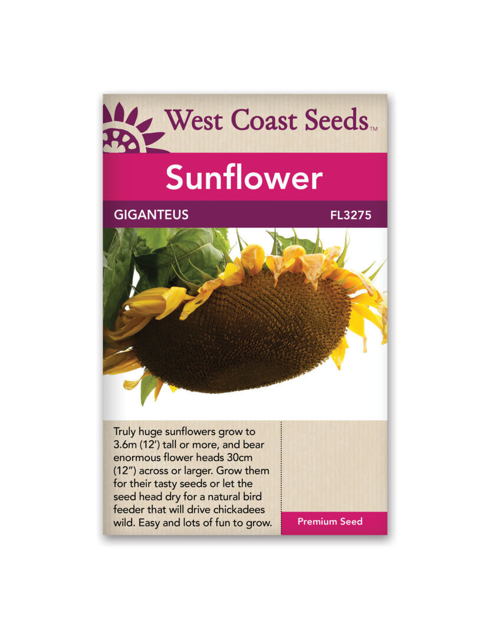 West Coast Seeds Giganteus