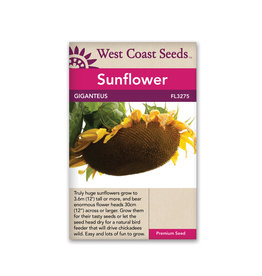 West Coast Seeds Giganteus