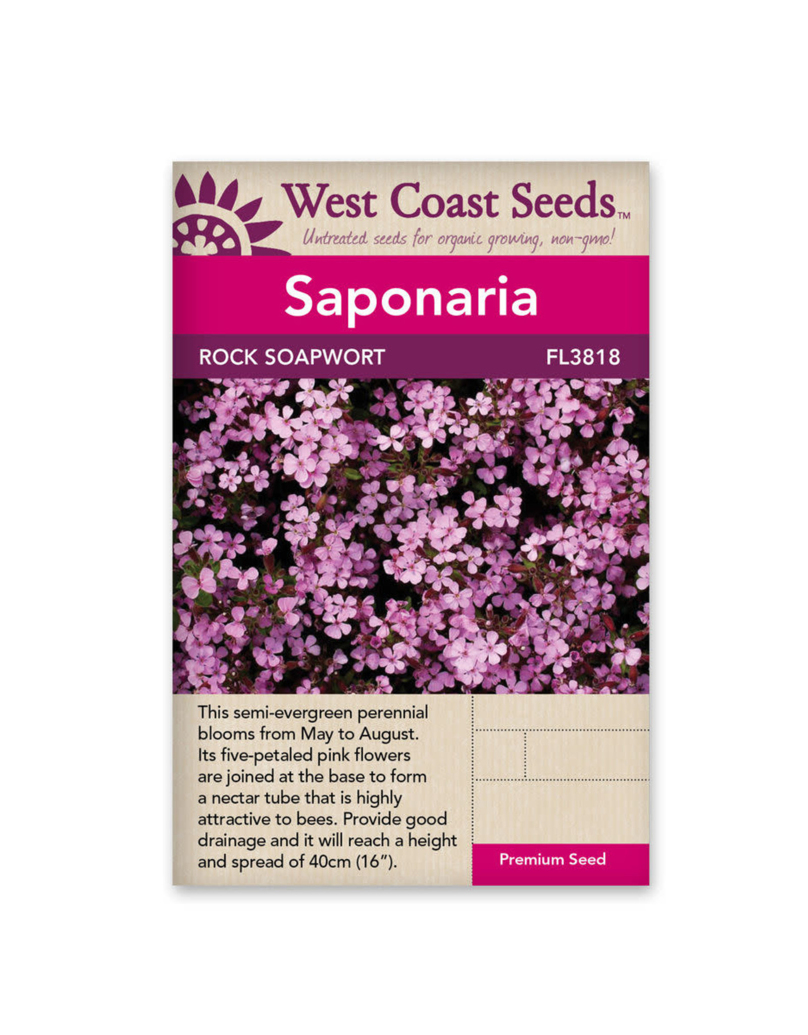 West Coast Seeds Rock Soapwort