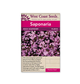 West Coast Seeds Rock Soapwort