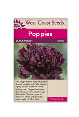 West Coast Seeds Poppies - Black Peony