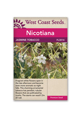 West Coast Seeds Jasmine Tobacco