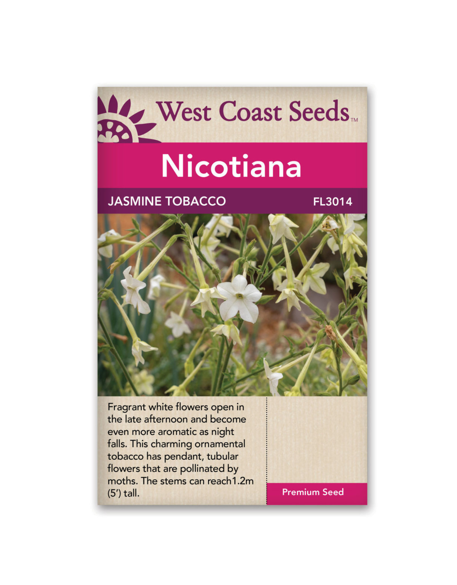 West Coast Seeds Jasmine Tobacco