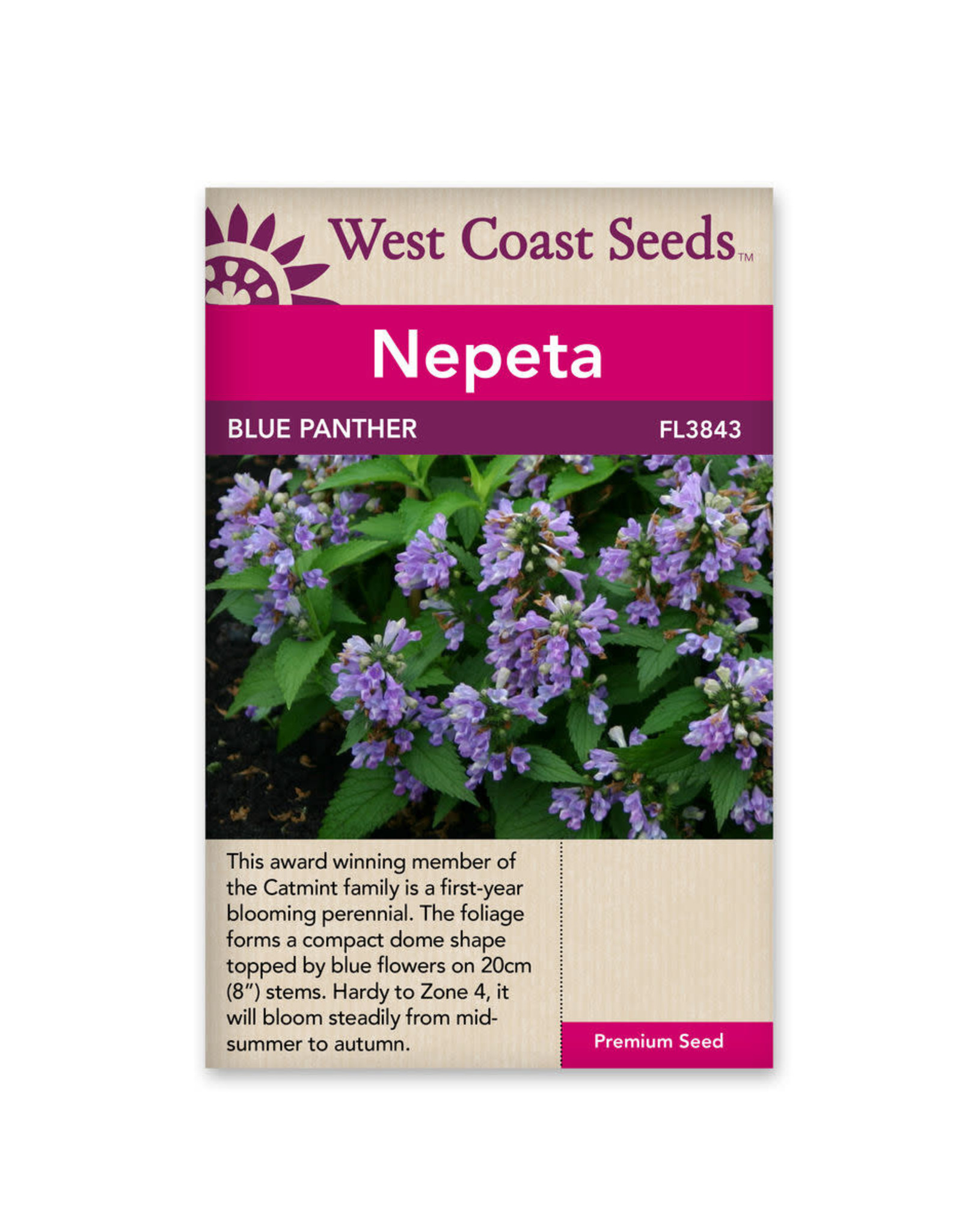 West Coast Seeds Blue Panther Catmint F1 (20 Seeds)