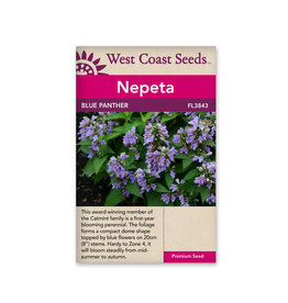 West Coast Seeds Blue Panther Catmint F1 (20 Seeds)