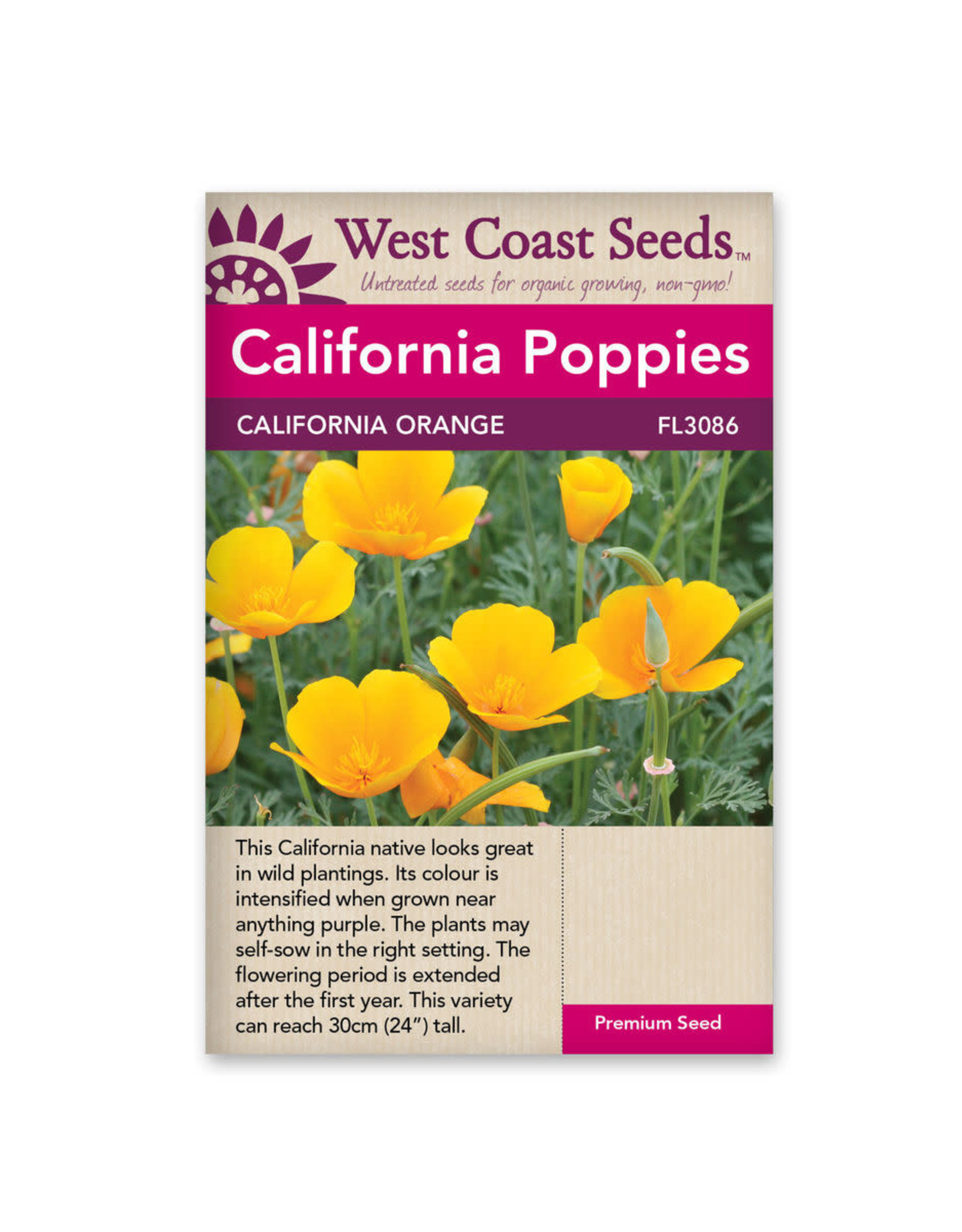 West Coast Seeds Poppies - California Poppy - California Orange