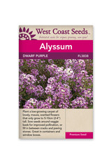 West Coast Seeds Alyssum - Dwarf Purple