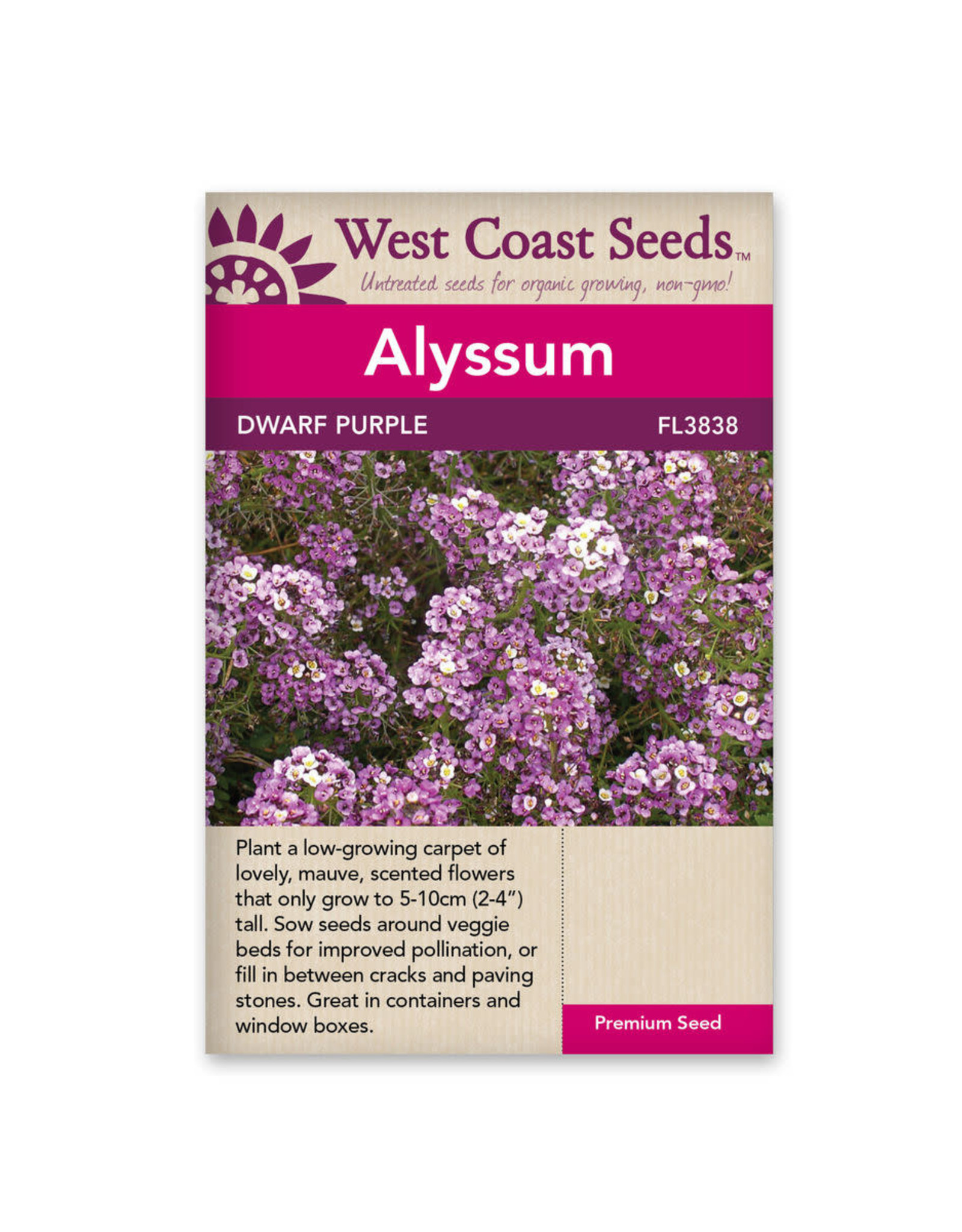 West Coast Seeds Alyssum - Dwarf Purple
