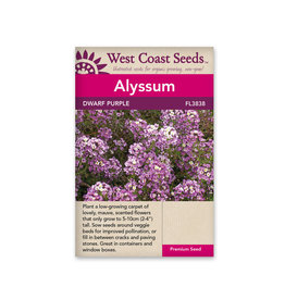 West Coast Seeds Alyssum - Dwarf Purple