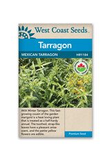 West Coast Seeds Mexican Tarragon Organic Certified