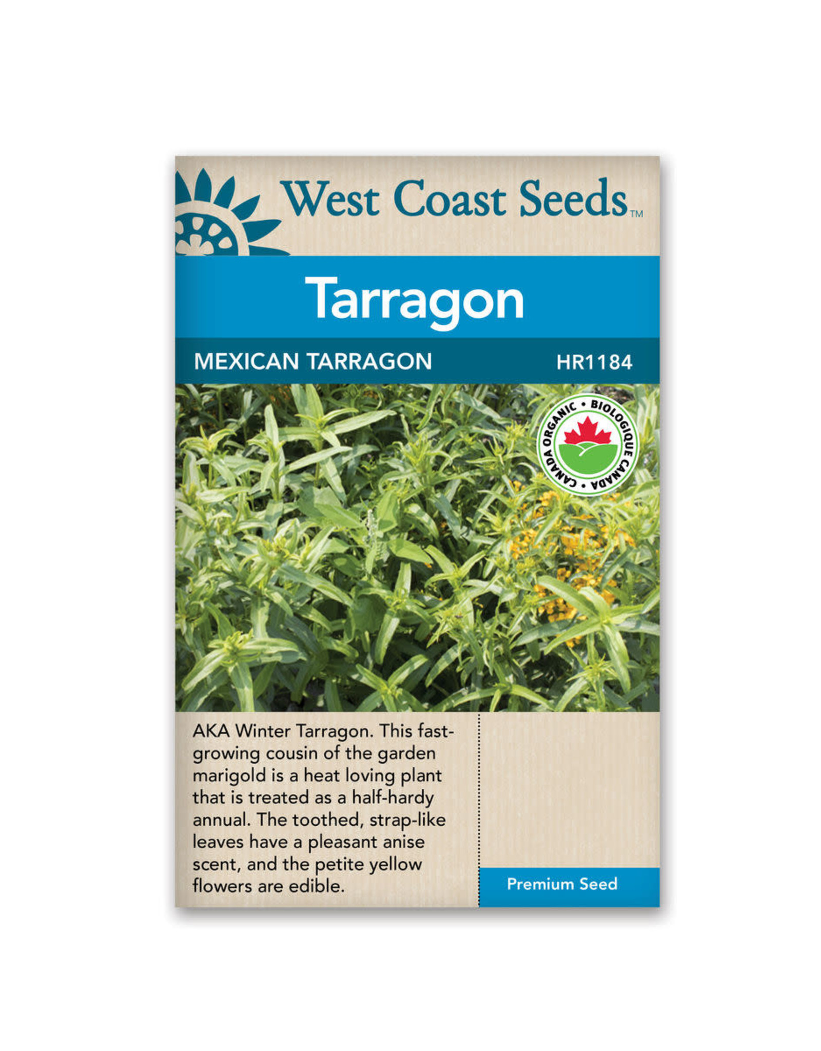 West Coast Seeds Mexican Tarragon Organic Certified