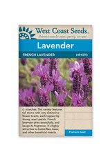 West Coast Seeds French Lavender (50 Seeds)
