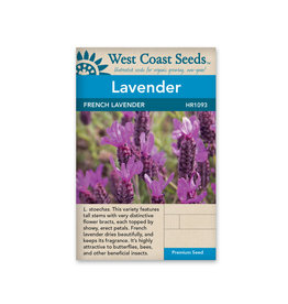 West Coast Seeds Lavender French Lavender (50 Seeds)