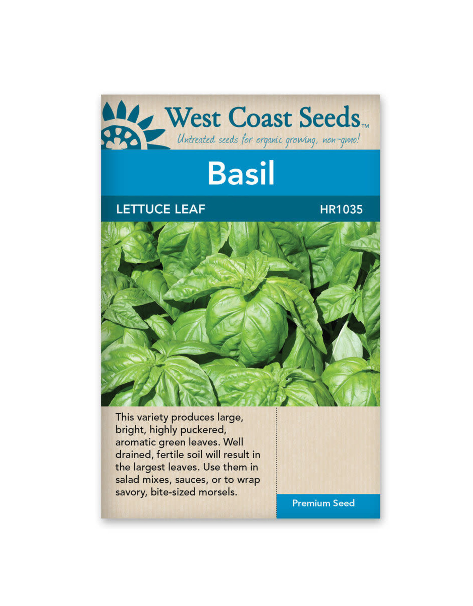 West Coast Seeds Basil - Lettuce Leaf