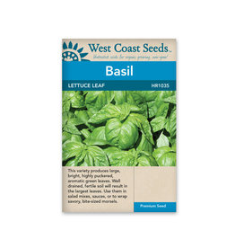 West Coast Seeds Basil - Lettuce Leaf