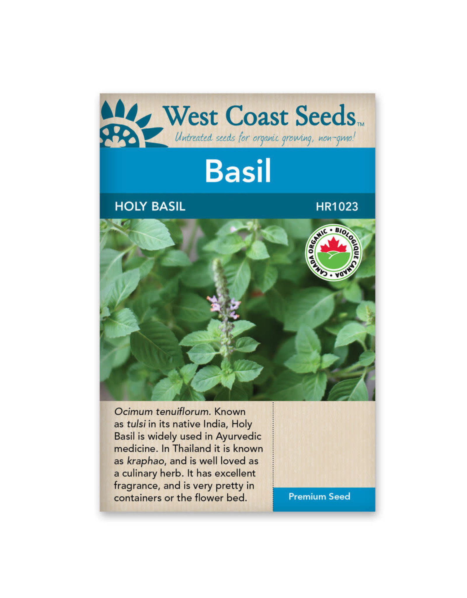 West Coast Seeds Holy Basil Organic Certified