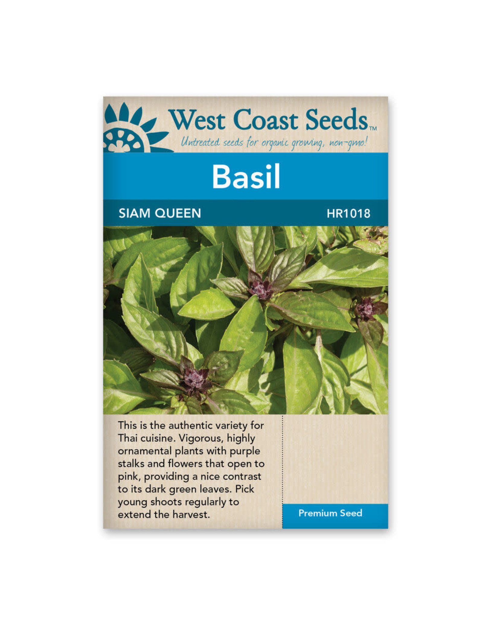 West Coast Seeds Siam Queen
