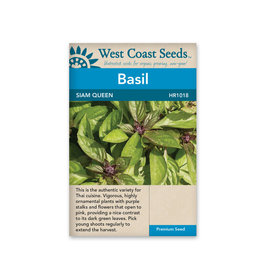 West Coast Seeds Basil Siam Queen