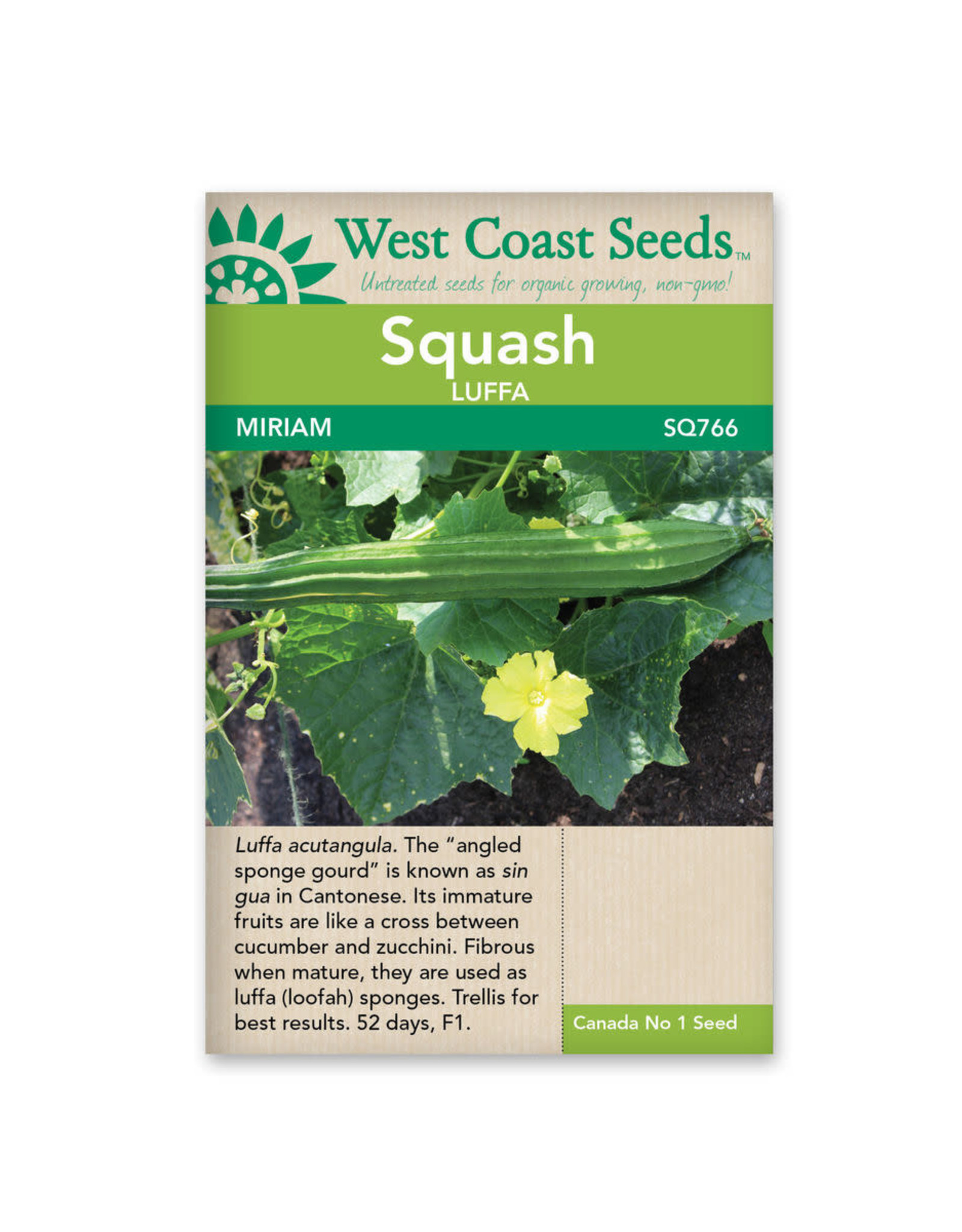 West Coast Seeds Miriam Sponge Gourd F1