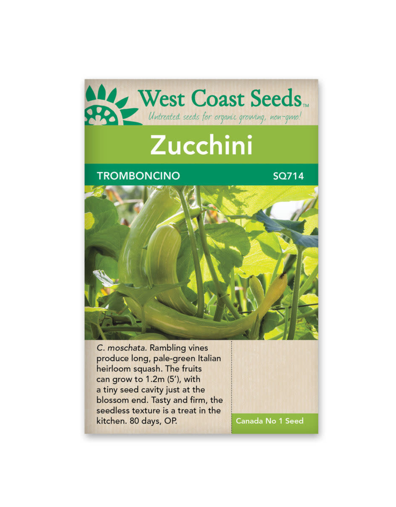 West Coast Seeds Tromboncino (OP)
