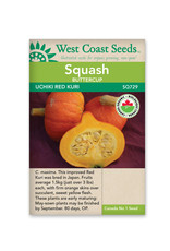 West Coast Seeds Squash-Winter - Uchiki Red Kuri Organic