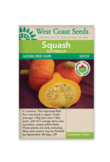 West Coast Seeds Uchiki Red Kuri Certified Organic