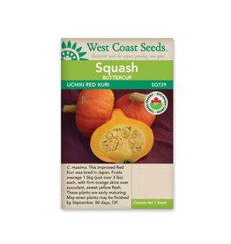 West Coast Seeds Squash-Winter - Uchiki Red Kuri Organic
