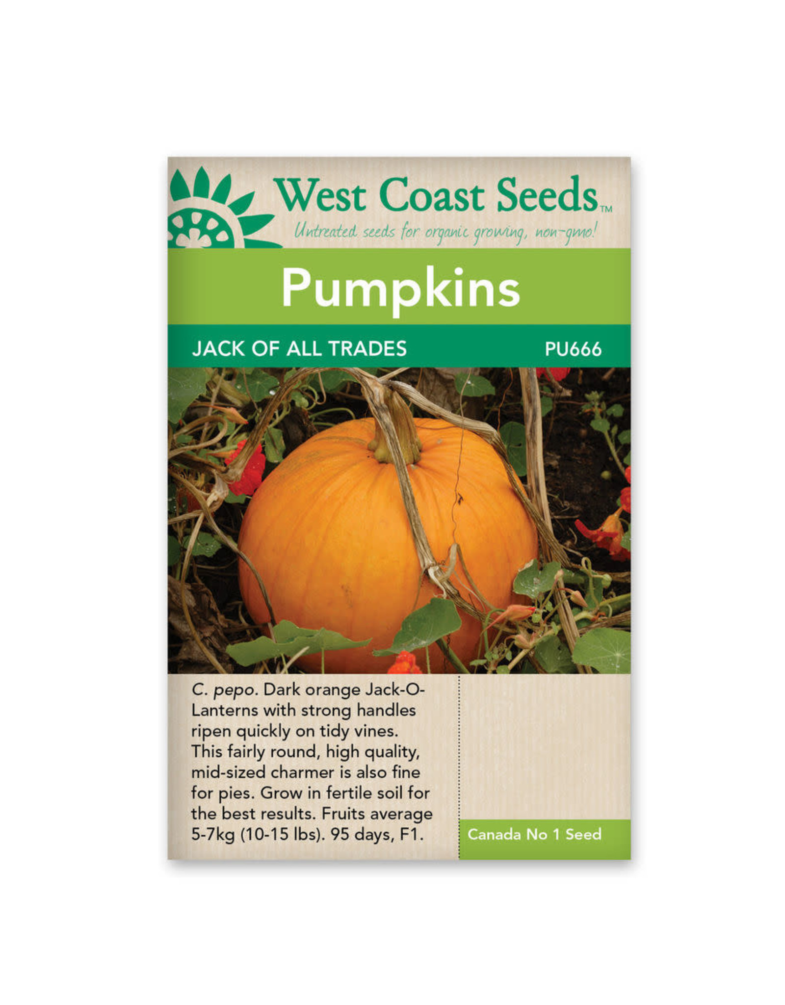 West Coast Seeds Jack of All Trades