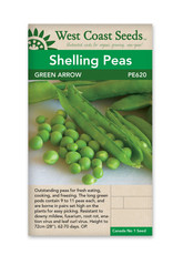 West Coast Seeds Green Arrow (OP)