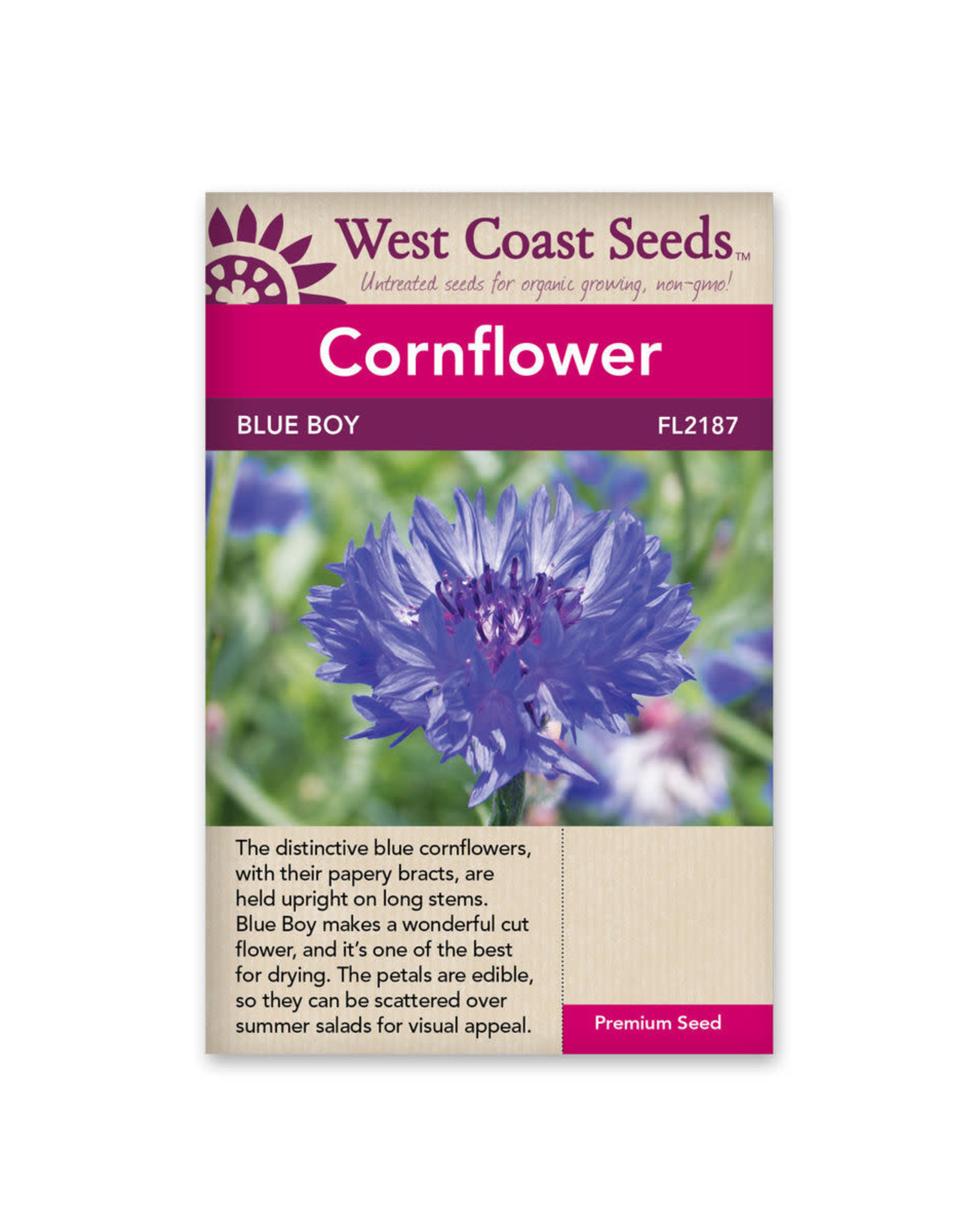 West Coast Seeds Centaurea Blue Boy
