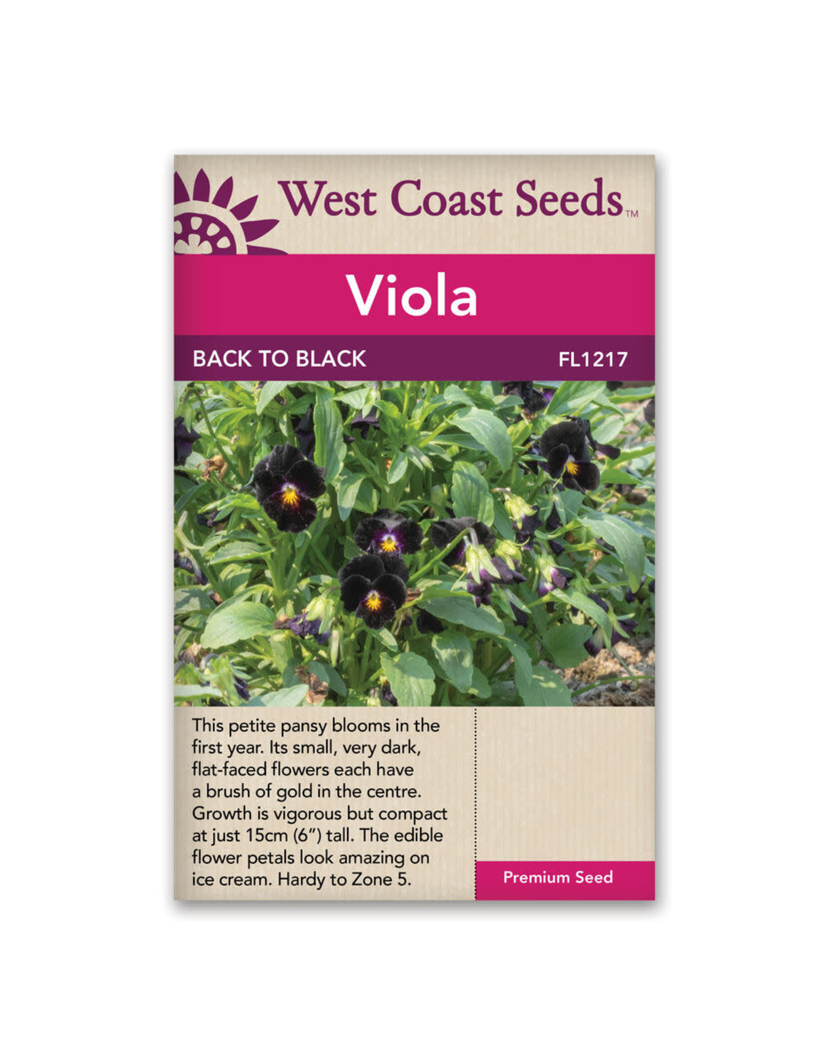 West Coast Seeds Back to Black Viola