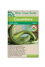 West Coast Seeds Cucumbers Suyo Long Organic Certified