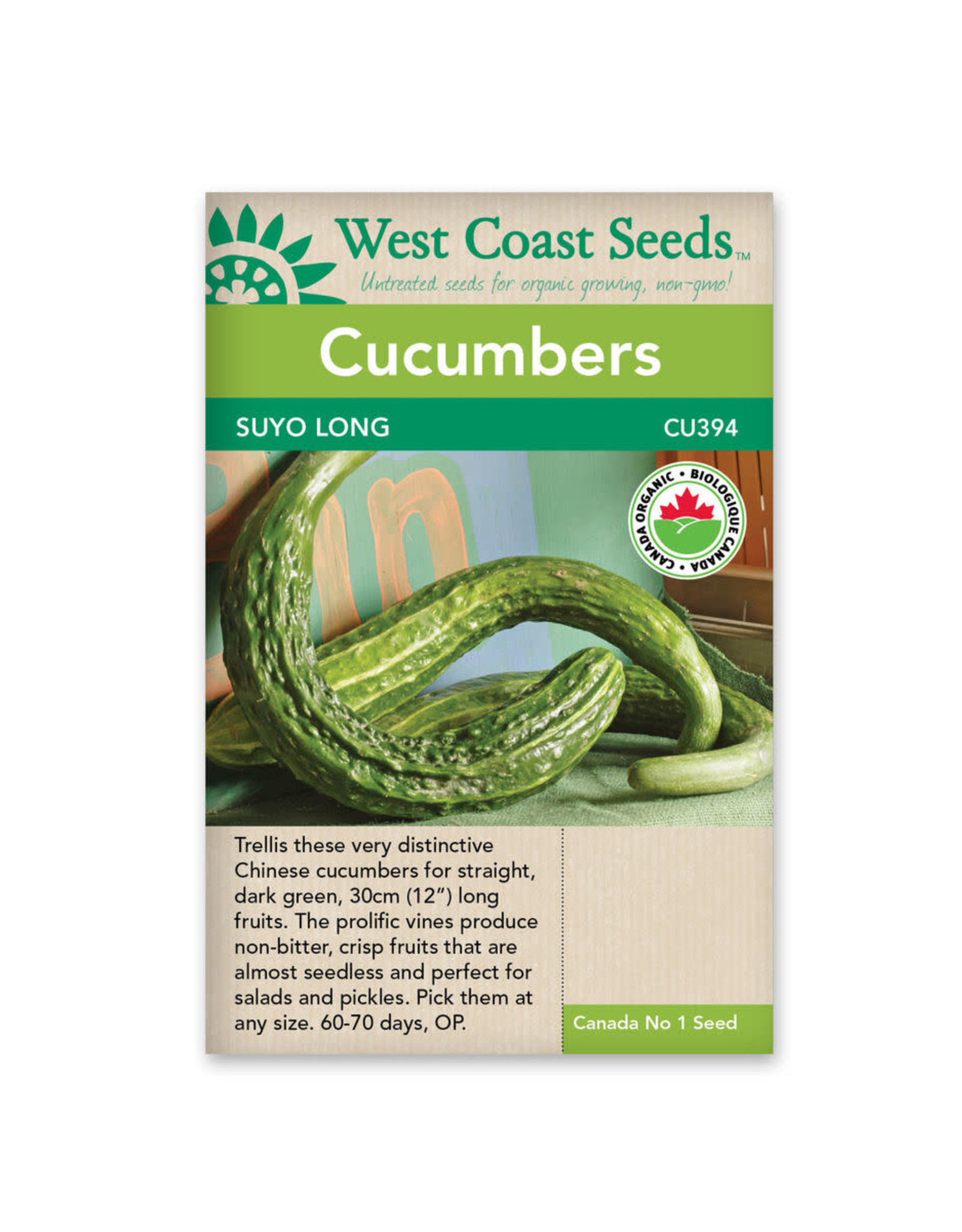 West Coast Seeds Cucumbers Suyo Long Organic Certified