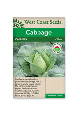 West Coast Seeds Cabbage - Caraflex F1 Coated Organic