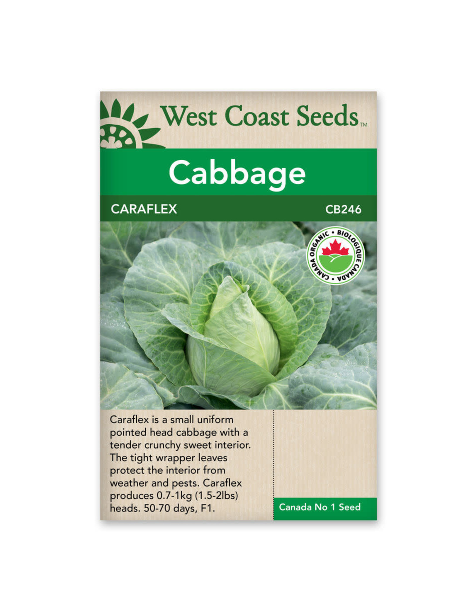West Coast Seeds Cabbage - Caraflex F1 Coated Organic