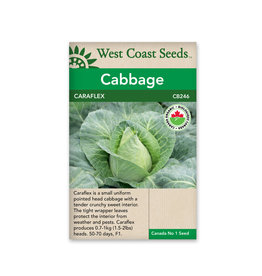 West Coast Seeds Cabbage - Caraflex F1 Coated Organic