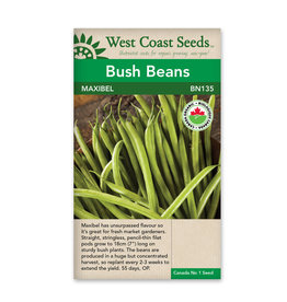 West Coast Seeds Bush Beans Maxibel Filet Organic Certified