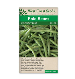 West Coast Seeds Pole Beans Kentucky Blue