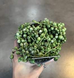 String Of Pearls Marble 4 inch